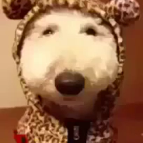 これ見たことある〜？の画像