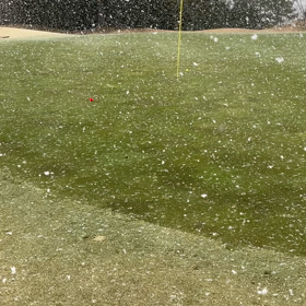 1週 間前は吹雪だったの画像