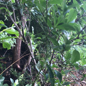 雨が収まったら風がピューピューの画像