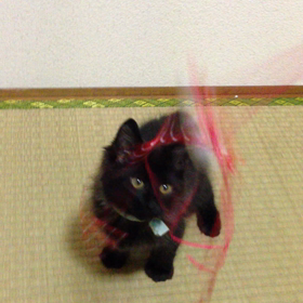 大きくなりすぎた場合の画像