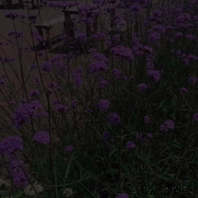 函館の画像