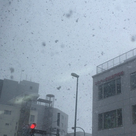 造影剤検査の画像