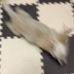 12/11の画像