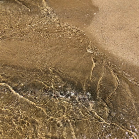 海水浴の画像
