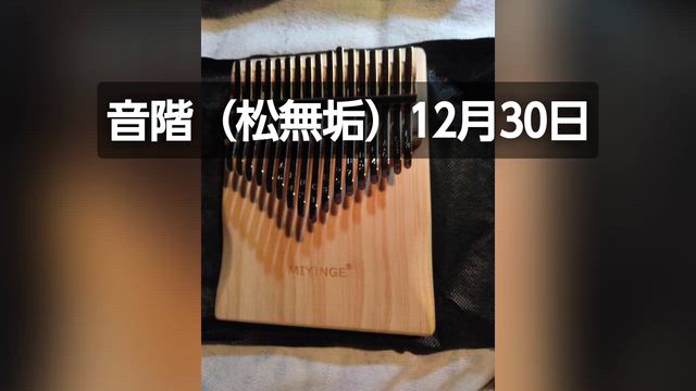 本日の音比べ　12月31日の記事動画