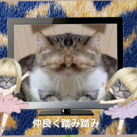 面白動画(笑)の画像