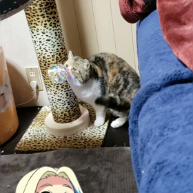 新しいおもちゃの画像