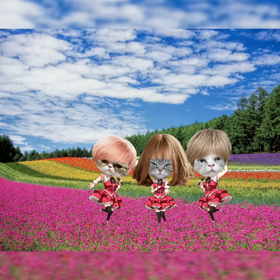 マスクは転売しないでの画像