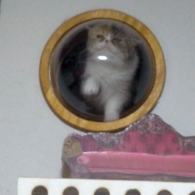 濃厚接触者になったかも？の画像