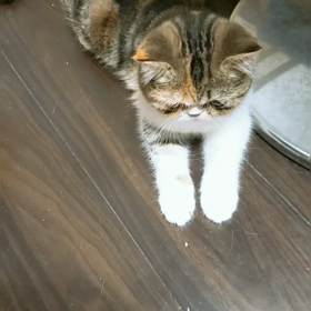 こんなじかんにの画像