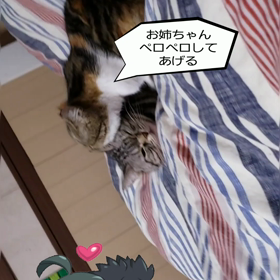 今日も仲良しの画像
