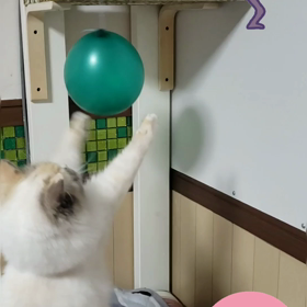 謎の飛行物体もしかしてUFOの画像