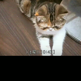 夢夢の独り言！！(゜ロ゜ノ)ノの画像