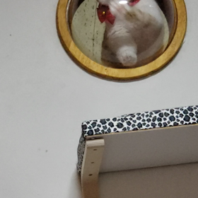 前に進みたいのに進まないの画像