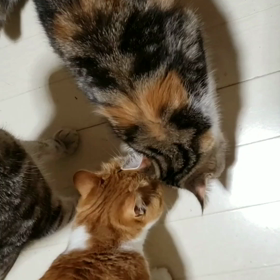 ハンドスピナを購入して見てわかった事はの画像