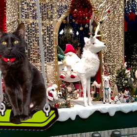 もうすぐクリスマスのプレゼント猫Cafeさんへの画像