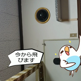 フォローしてもらってる人が可愛いそうの画像
