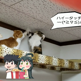 ハイータッチ  の画像