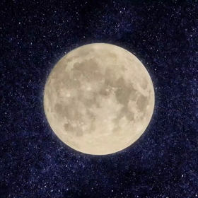 今度は十五夜で作って見ましたヾ(@゜▽゜@)ノの画像