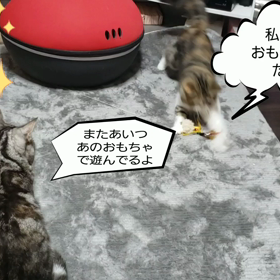 勝手に名前を変えられた事の画像