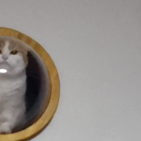 さおりに癒される( *´艸｀)の画像