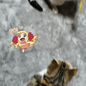 またまた入れ食い！！(゜ロ゜ノ)ノの画像