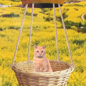 皆で旅に出よう(´∀｀*)ｳﾌﾌの画像