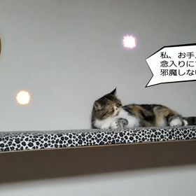 皆さんにおしらせです〰️〰️〰️(*≧∇≦)ﾉこれを食べて見て〰️〰️〰️(*≧∇≦)ﾉの画像