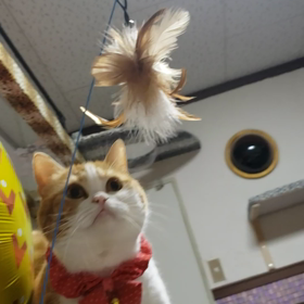 未だに井戸水でお風呂を沸か  す!щ(゜▽゜щ)！の画像