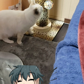 残念(T∀T)(´TωT`)の画像