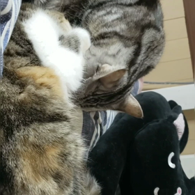 これって濃厚接触の画像