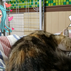 最近また膀胱炎で病院通いの画像