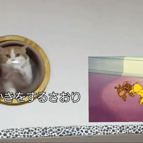 今度は一人でなにしてるの画像