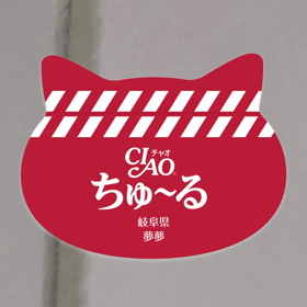 面白い動画出来ました!щ(゜▽゜щ)！の画像