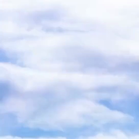 冬支度をしなくてはの画像