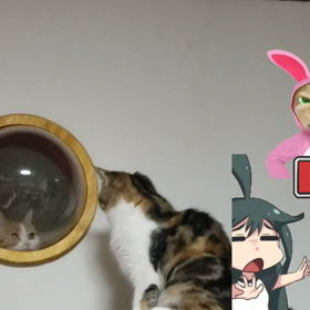 全てが謎だらけの画像