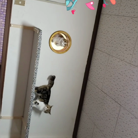またまた撮れました〰️〰️〰️(*≧∇≦)ﾉの画像