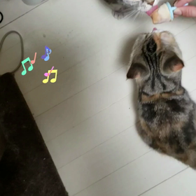 突然の来客！！(゜ロ゜ノ)ノの画像