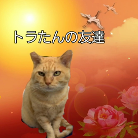 トラちゃんの友達の画像