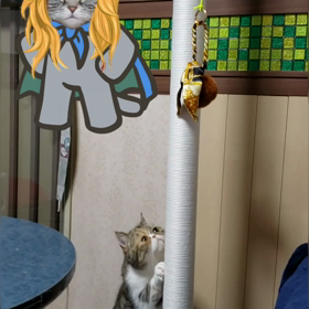 夢夢も登りまーす〰️〰️〰️( ≧∀≦)ノヾ(@゜▽゜@)ノの画像
