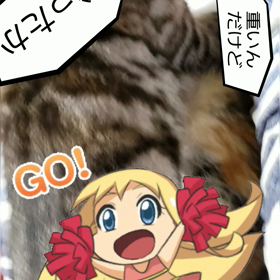 この子は毛繕いされるのが嫌いの画像