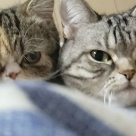 今日も病院です(。>д<)の画像
