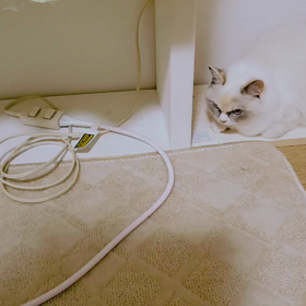 さつそくうちに来て大活躍の画像