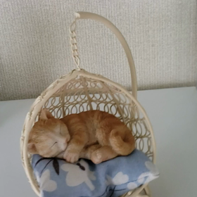 2019/08/04の画像