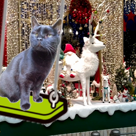 クリスマスプレゼント黒猫チャンプちゃんへの画像