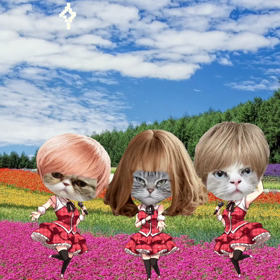 うちのアイドルがPV作ったそうでの画像