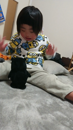 あおいくんは、ねずこちゃん(^-^)/の記事動画
