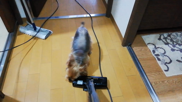 元気だねぇの記事動画