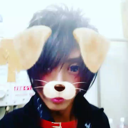 最新の投稿から1ヶ月が経ちましたの記事動画