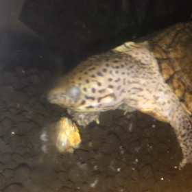 食欲回復の画像